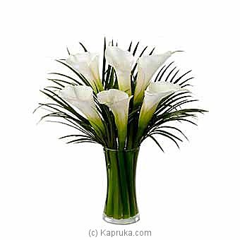 White Calla Lilies Bouquet - Kapruka Product intGift00632
