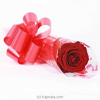 A Single Rose - Red - Kapruka Product intGift00641
